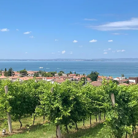 Apartamento 1 Bedroom Lovely In Bardolino